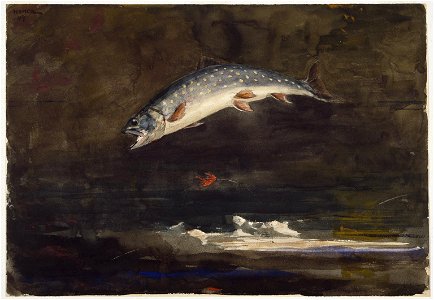 Winslow Homer - Jumping Trout (1889)
