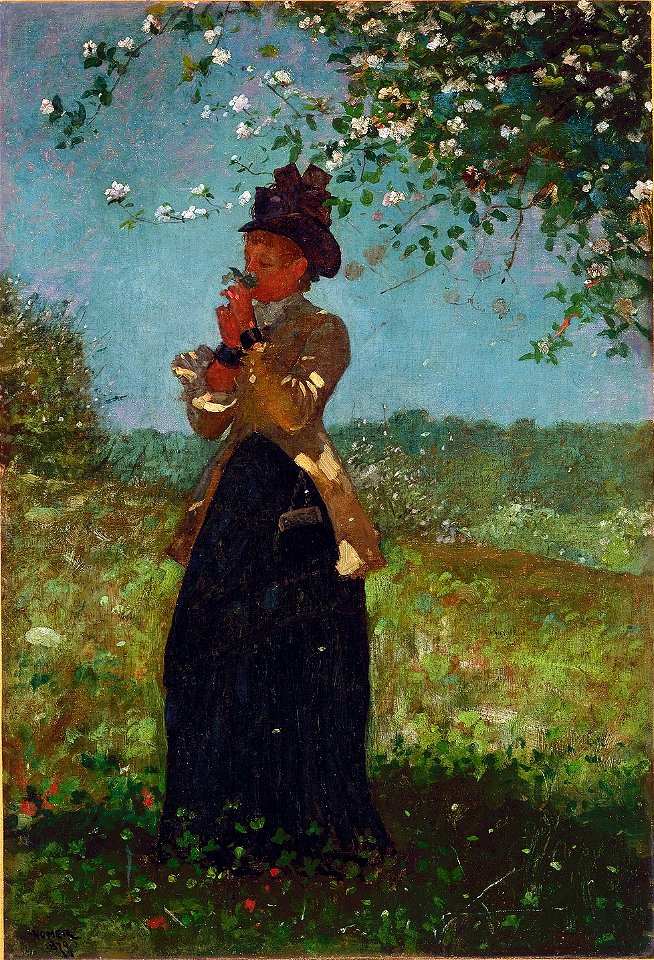 The Yellow Jacket by Winslow Homer