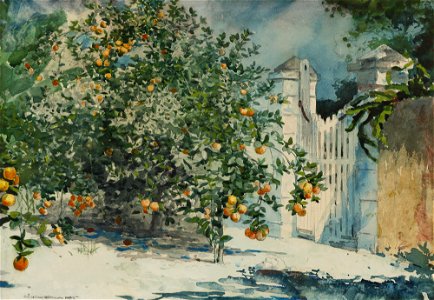 Winslow Homer - Orange trees and gate