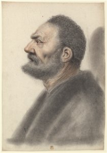 Homme à la barbe courte et aux cheveux frisés, la tête légèrement relevée, de profil à gauche (Nicolas Lagneau)