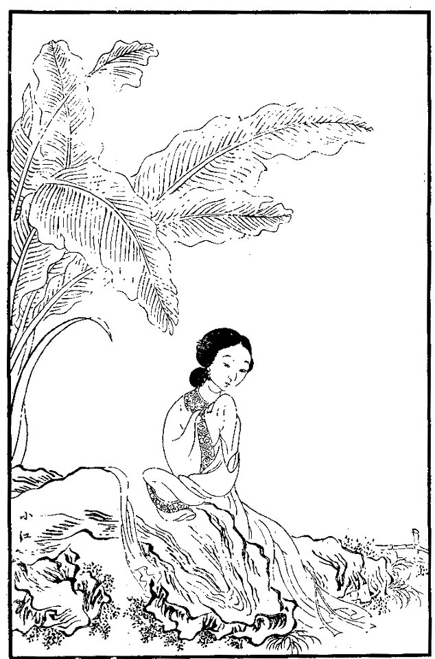 Hongloumeng Tuyong Xiaohong