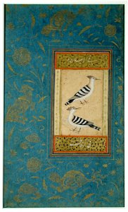 Hoopoes (6124535023)