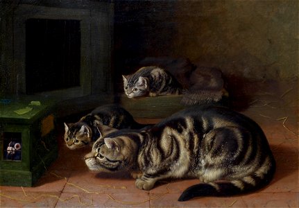 Horatio Henry Couldery Curiosity
