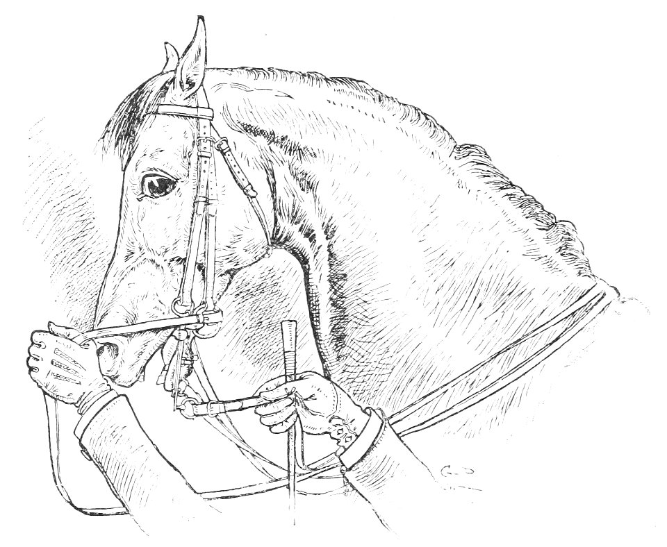 Horsemanship for women 037