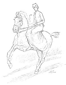 Horsemanship for women 098