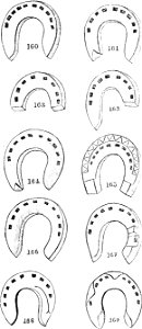 Horse shoes and horse shoeing-124. Free illustration for personal and commercial use.