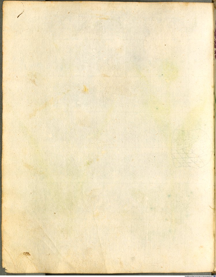 Hortulus Monheimensis - 054