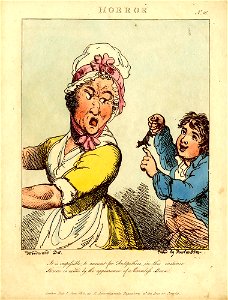 Horror (BM 2004,1130.50)