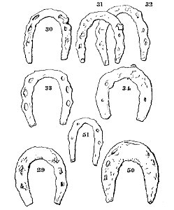 Horse shoes and horse shoeing page204. Free illustration for personal and commercial use.