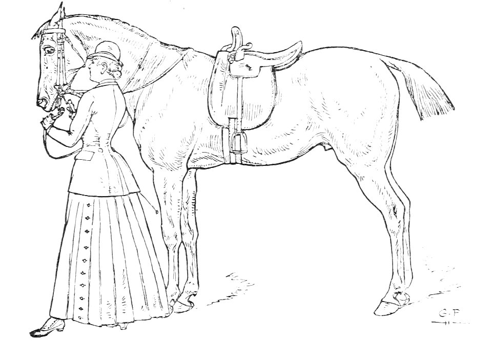 Horsemanship for women 048