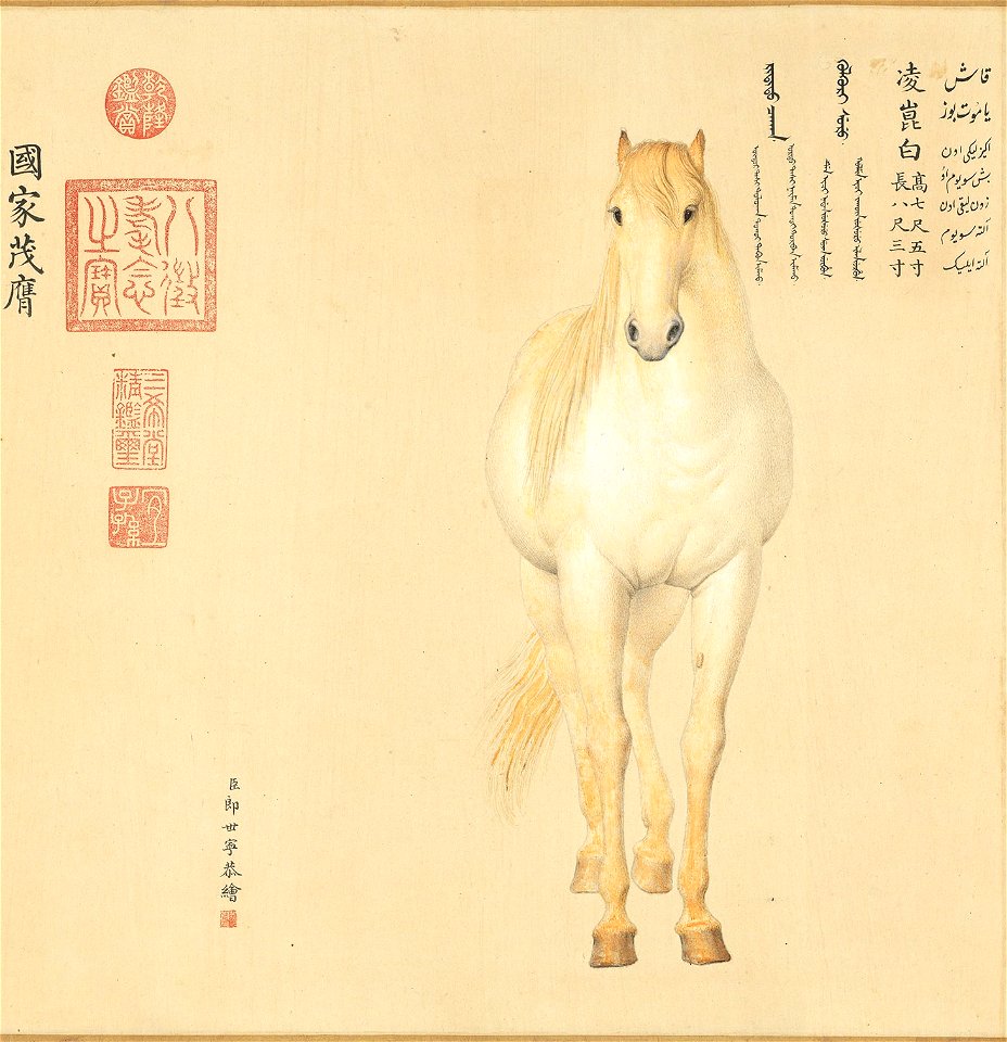 Horse Lingkunbai