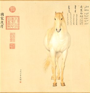 Horse Lingkunbai
