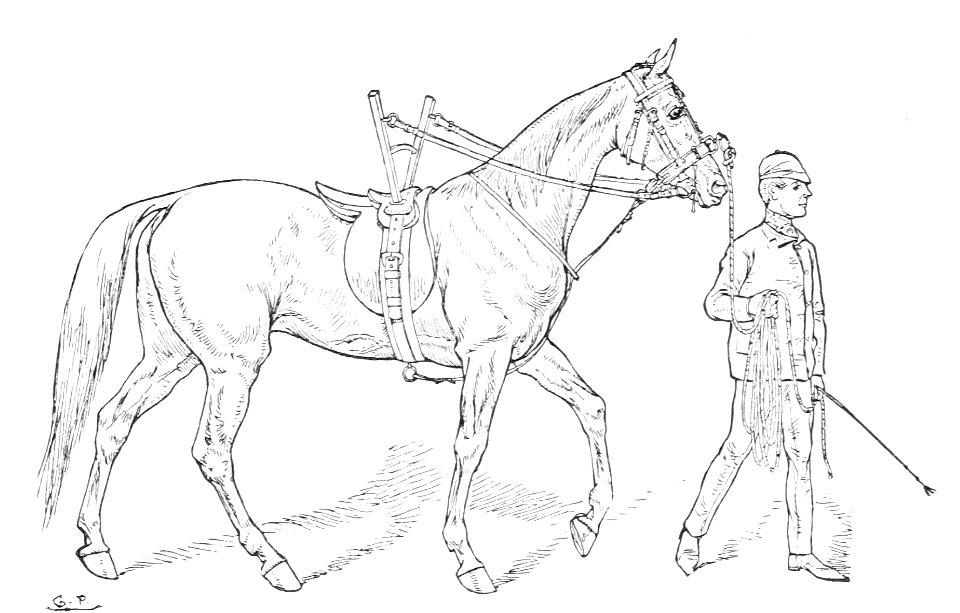 Horsemanship for women 062