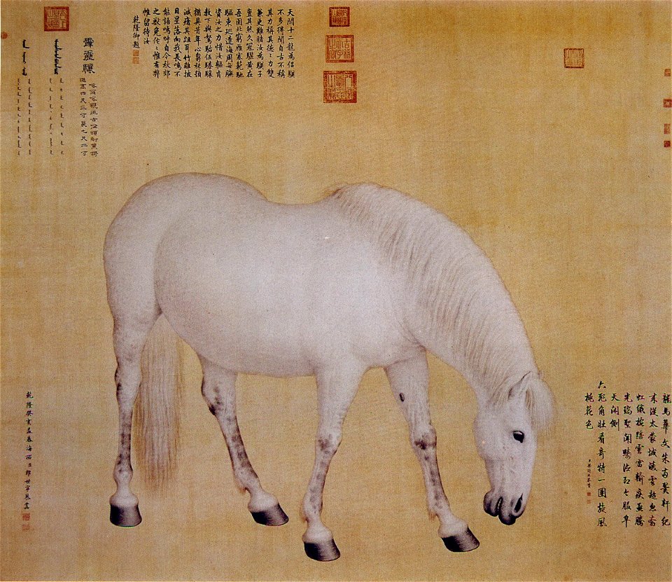 Horse Pilixiang