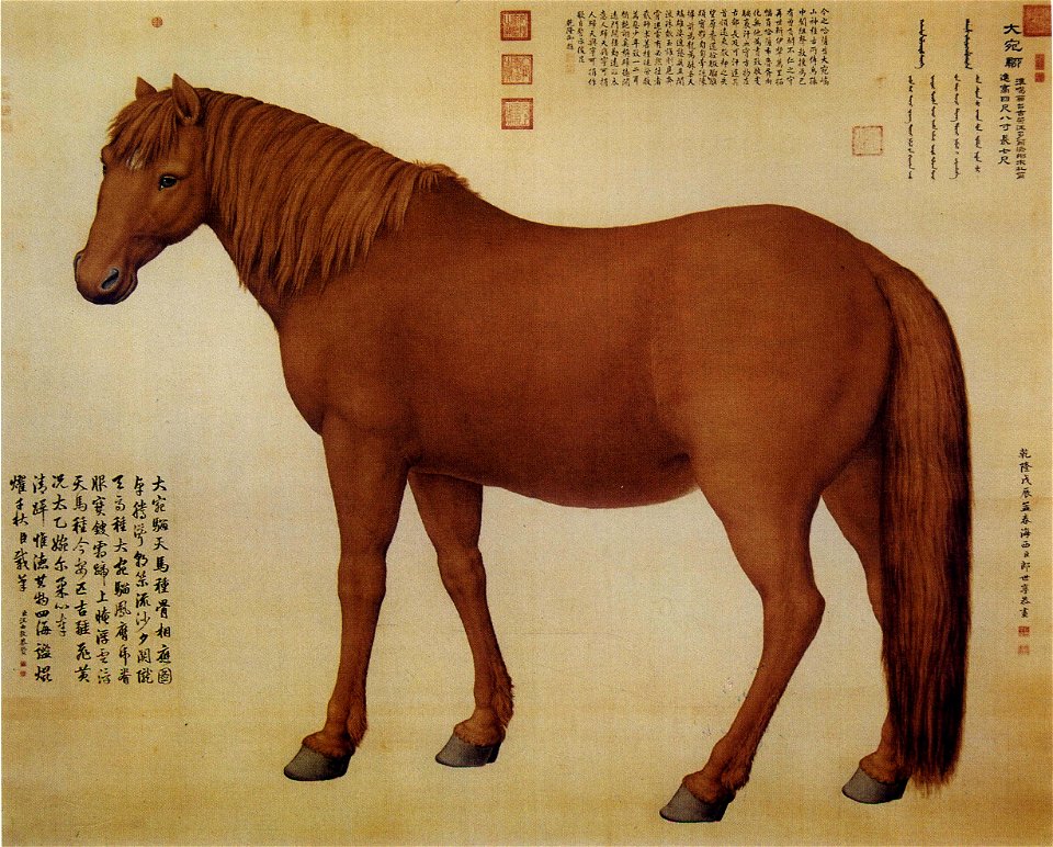 Horse Dawanliu