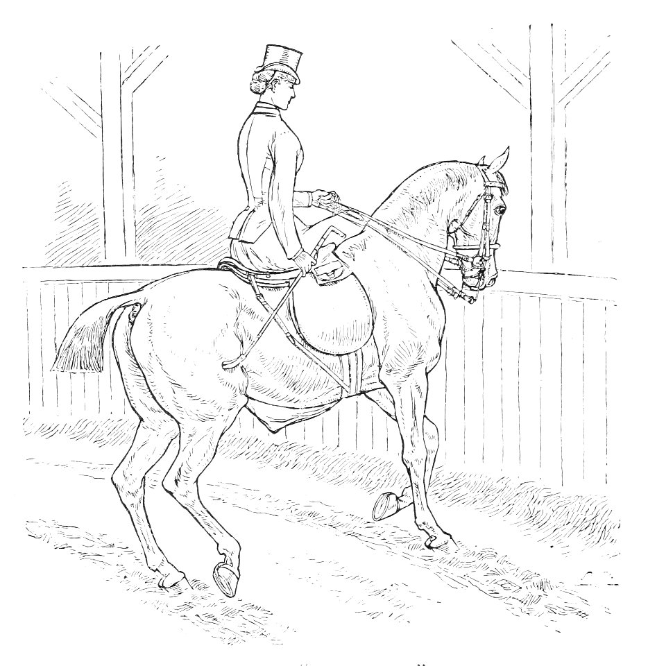 Horsemanship for women 088