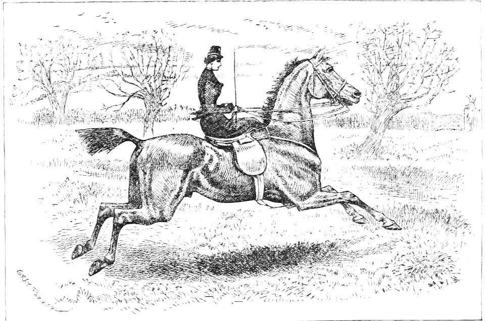 Horsemanship for women 134