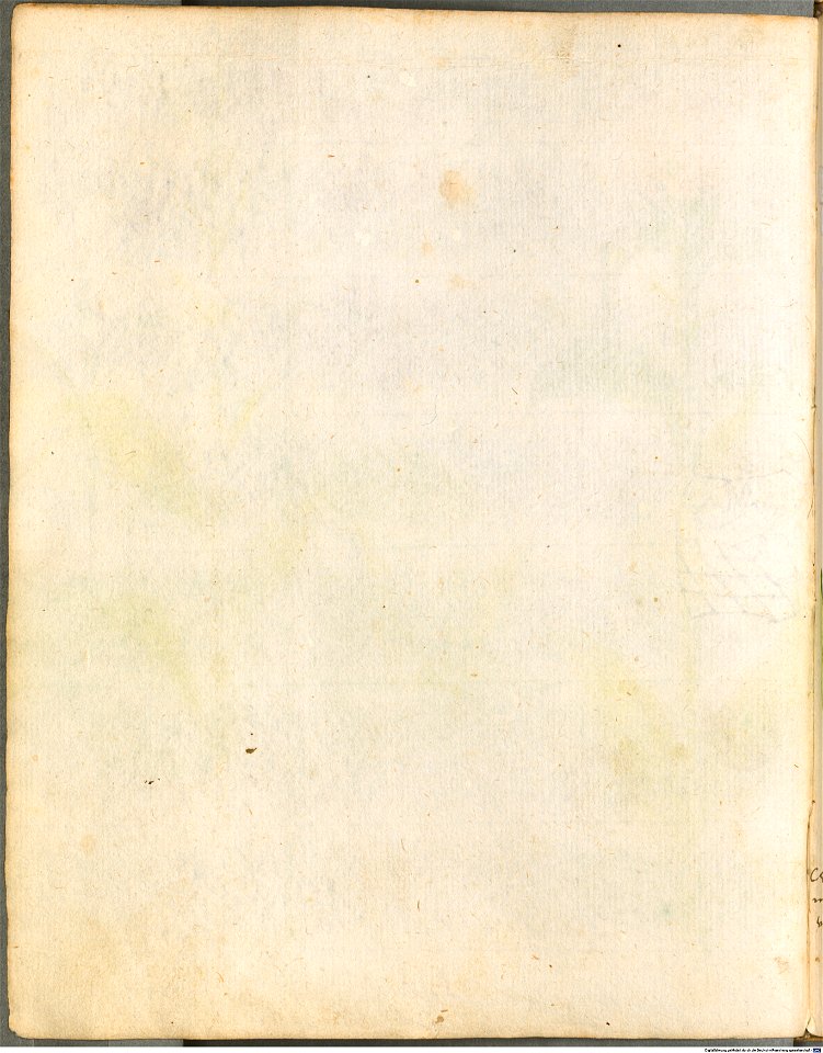 Hortulus Monheimensis - 062