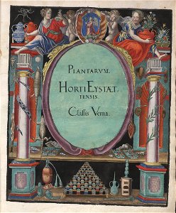 Hortus Eystettensis, 1613 (KU 2894-1 017) -title Classis Verna