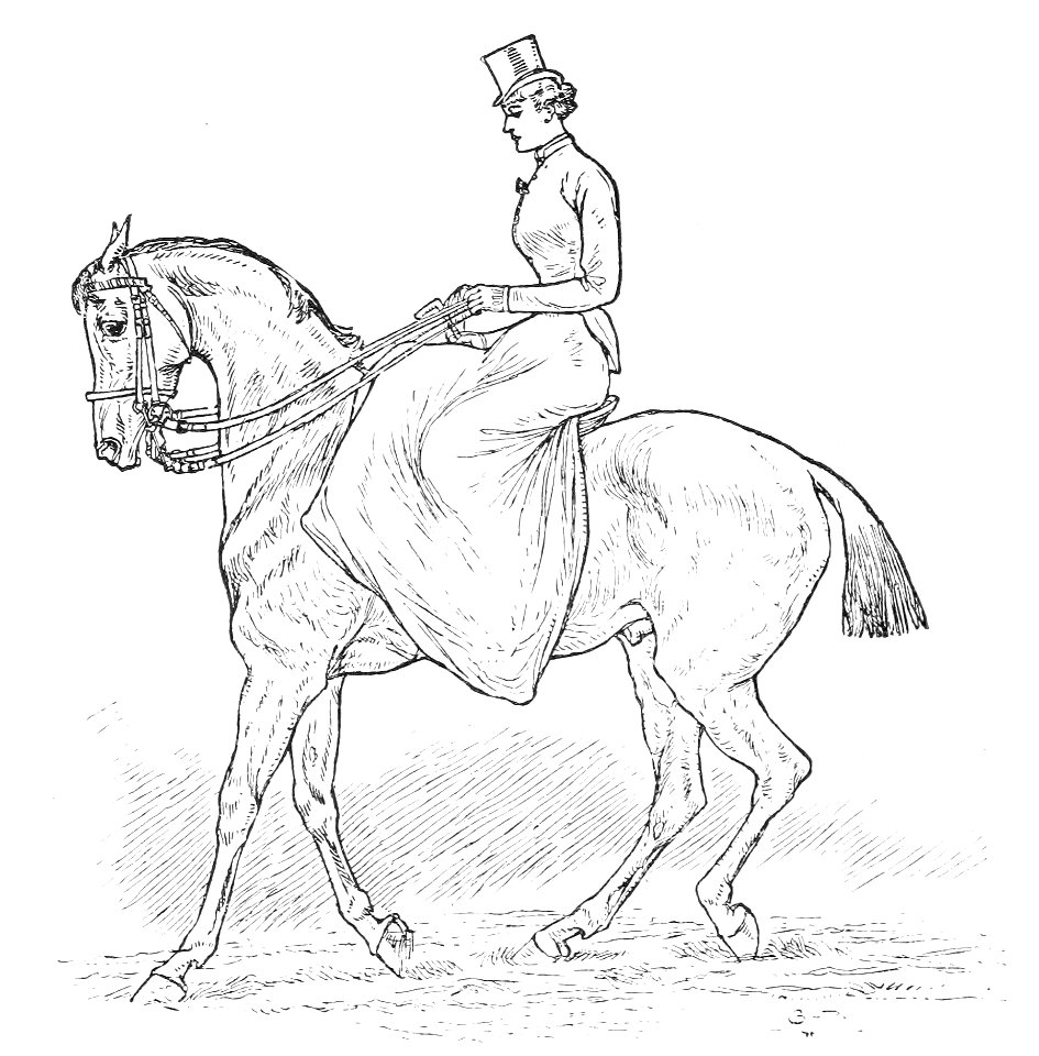 Horsemanship for women 091