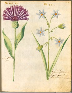 Hortulus Monheimensis - 055