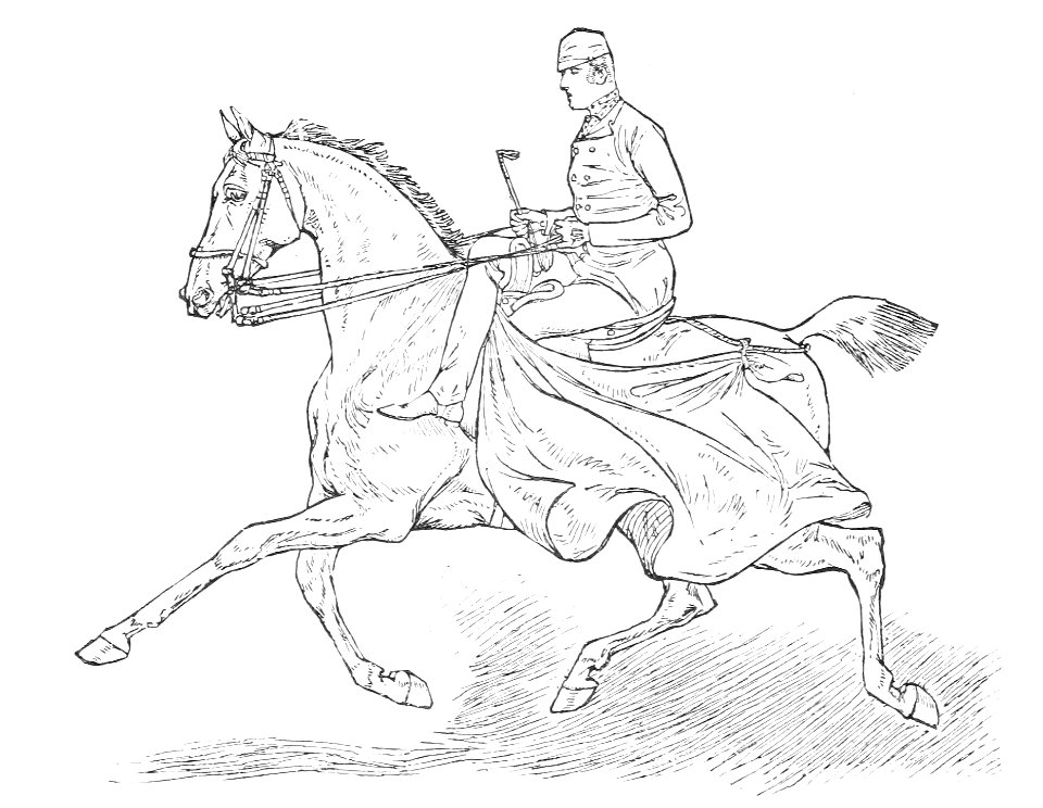 Horsemanship for women 057