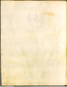 Hortulus Monheimensis - 083