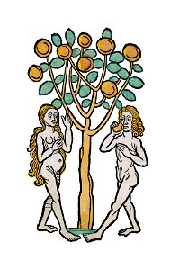 Hortus Arbor paradisi