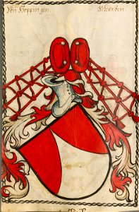 Hoppingen Scheibler250ps