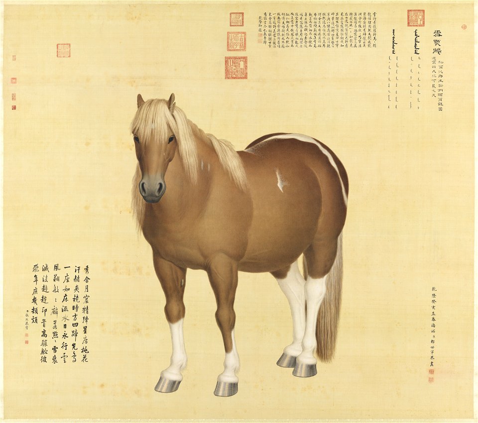 Horse Xuediandiao