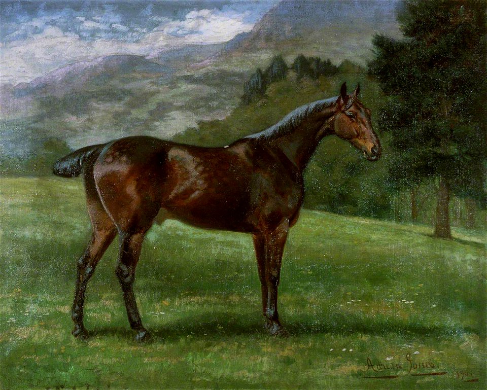 Horse (gcf00949)