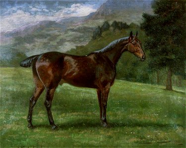 Horse (gcf00949)