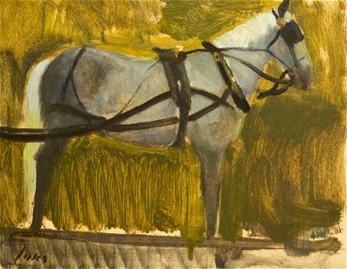 Horse in Harness