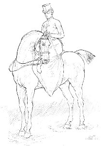 Horsemanship for women 063