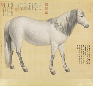 Horse Ruyicong