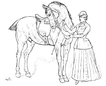 Horsemanship for women 050
