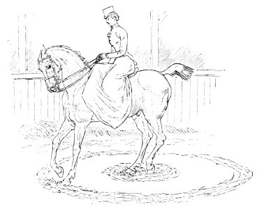 Horsemanship for women 086