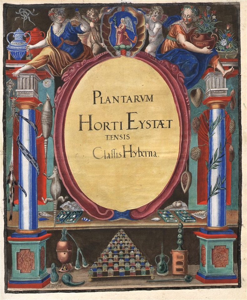 Hortus Eystettensis, 1613 (KU 2894-3 329) -title Classis Hyberna