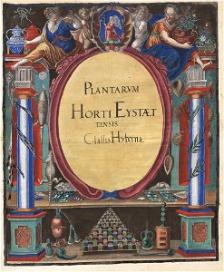 Hortus Eystettensis, 1613 (KU 2894-3 329) -title Classis Hyberna