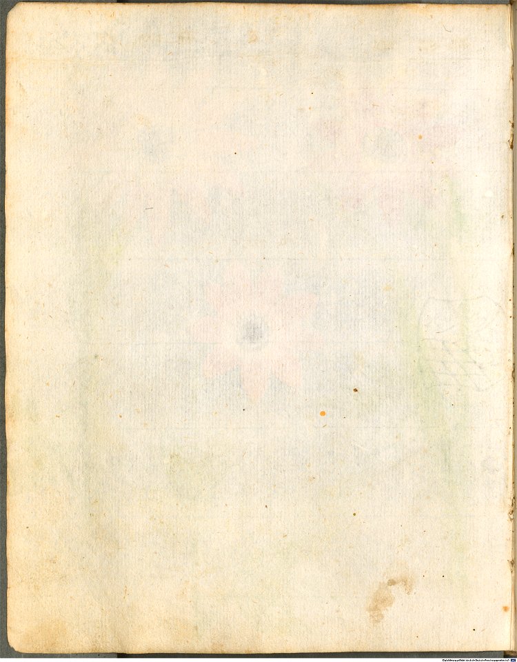 Hortulus Monheimensis - 024