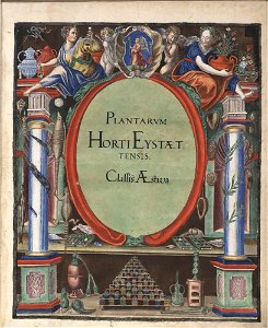 Hortus Eystettensis, 1613 (KU 2894-2 001) -title Classis Aestiva