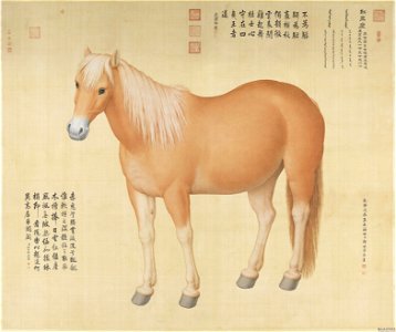 Horse Hongyuzuo
