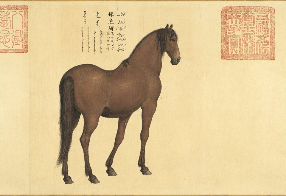Horse Laiyuanliu