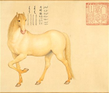 Horse Yuekulai