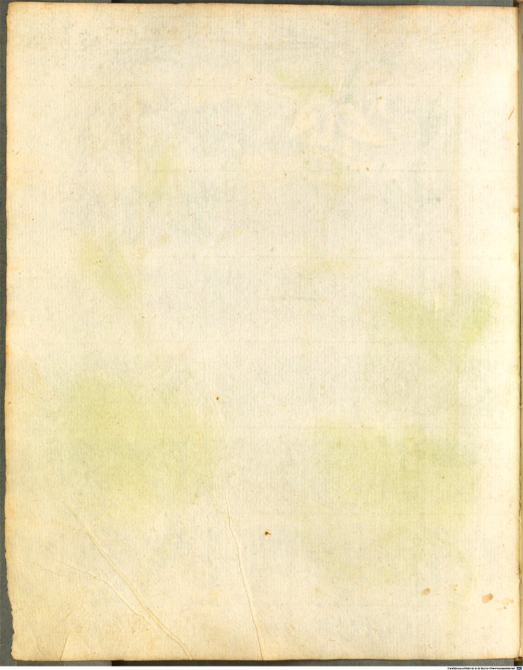 Hortulus Monheimensis - 052