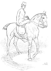 Horsemanship for women 067