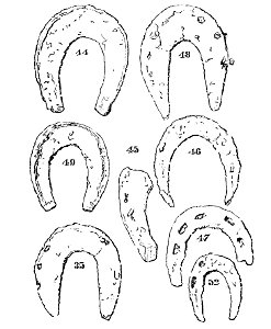 Horse shoes and horse shoeing page212