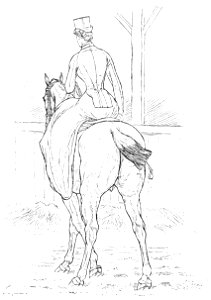 Horsemanship for women 087