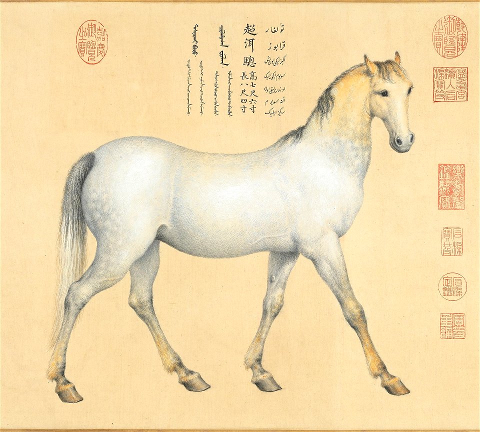 Horse Chaoni'er