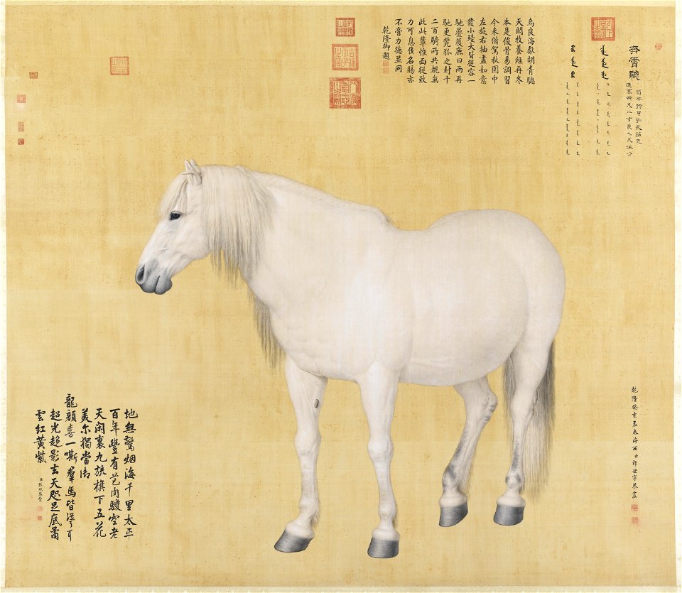 Horse Benxiaocong